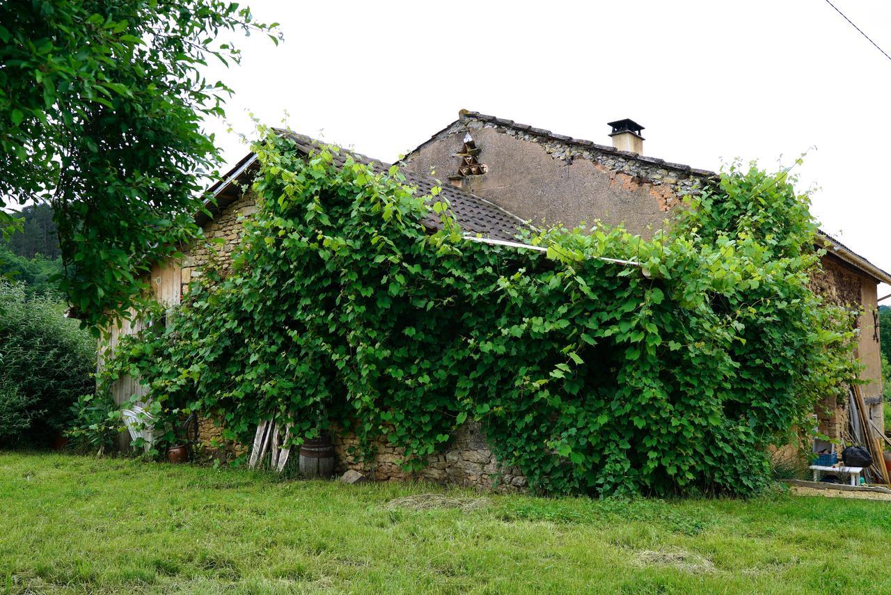 Вілла La Prairie Siorac-en-Perigord Екстер'єр фото